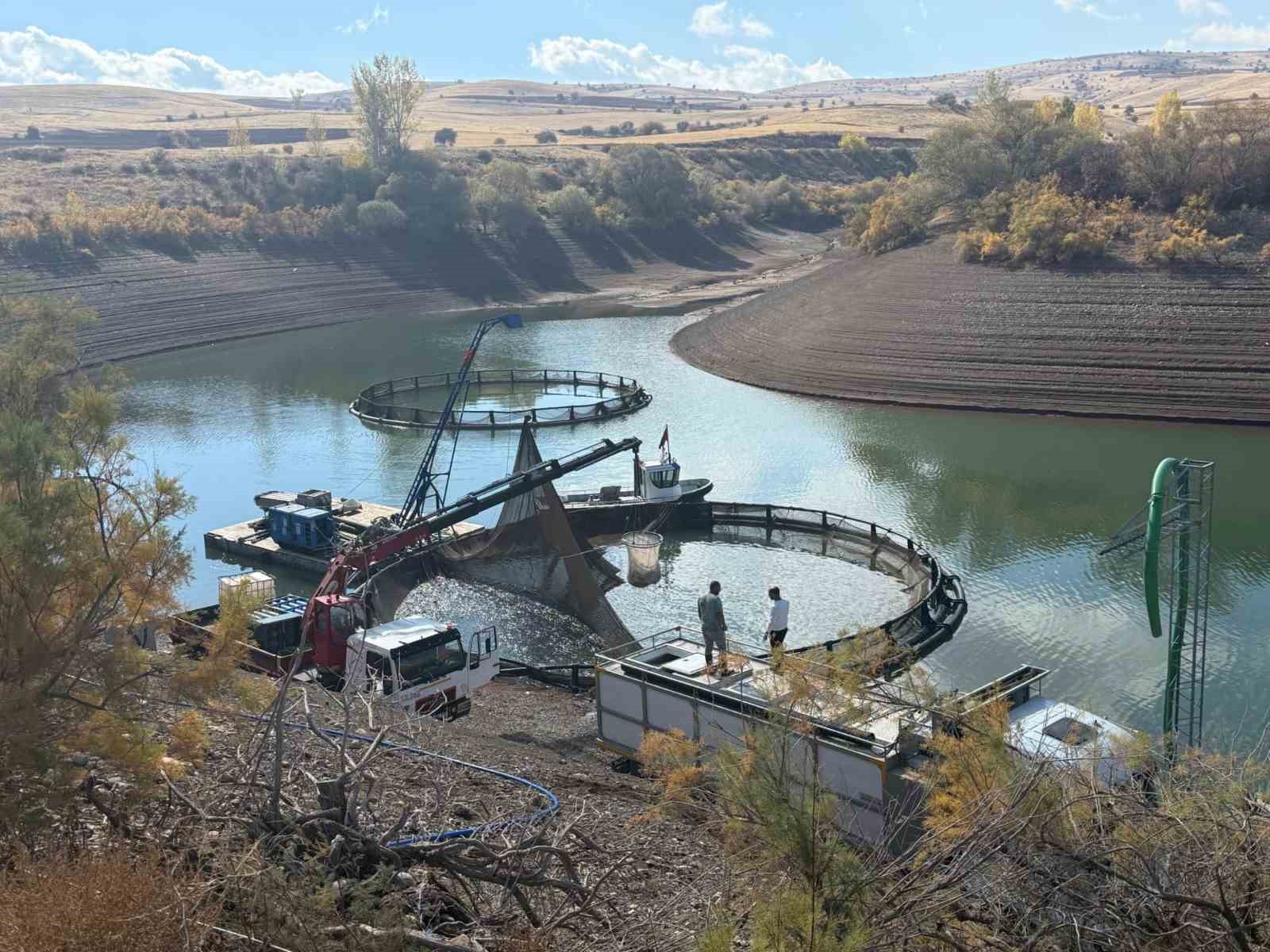 Tercan Baraj Gölü’nde su ürünleri üretimi büyüyor