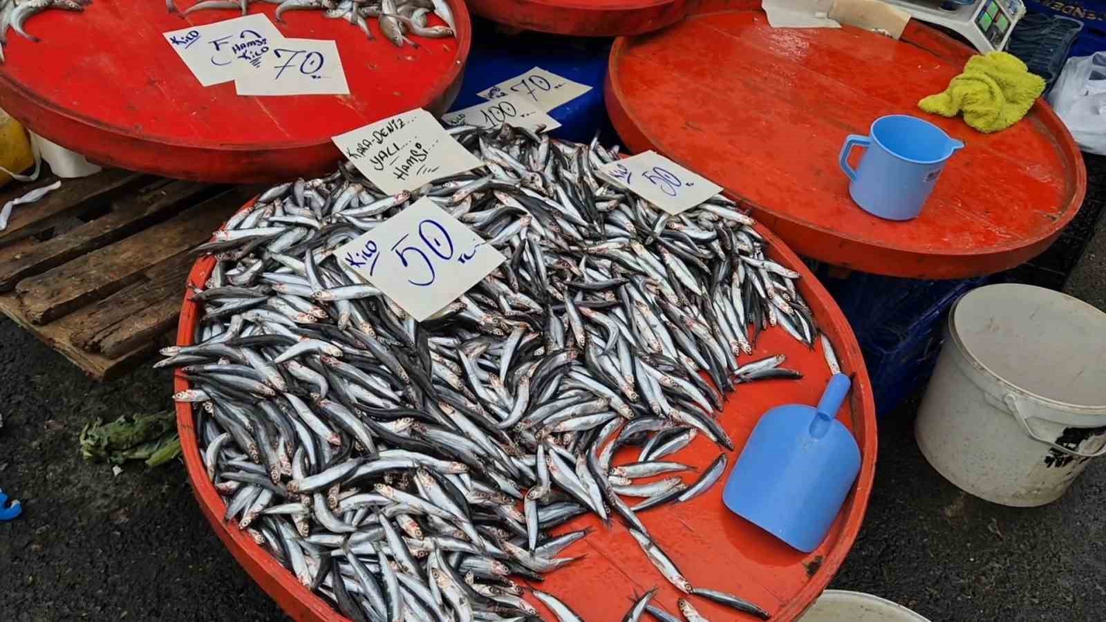 Tekirdağ’da hamsinin kilosu 50 liraya kadar düştü