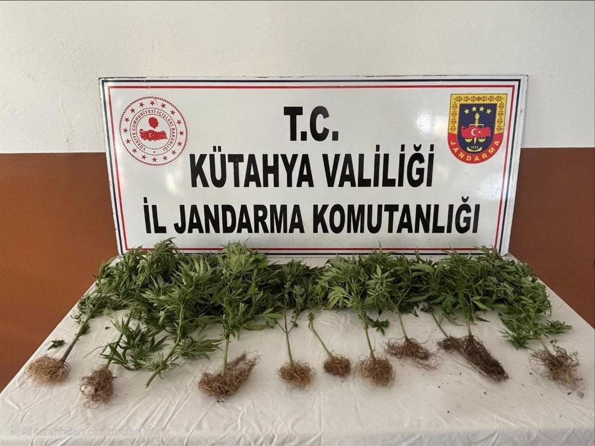 K&uuml;tahya&rsquo;da jandarmadan uyuşturucu operasyonu: 2 ş&uuml;pheli tutuklandı
