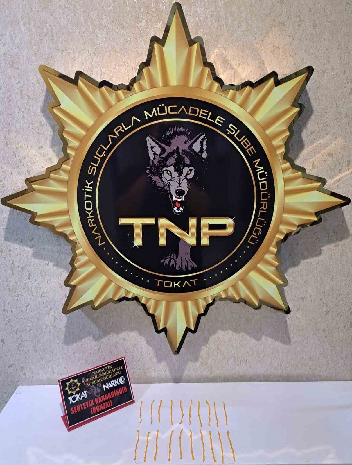 Tokat’ta uyuşturucu operasyonu, 500 içimlik bonzai ele geçirildi