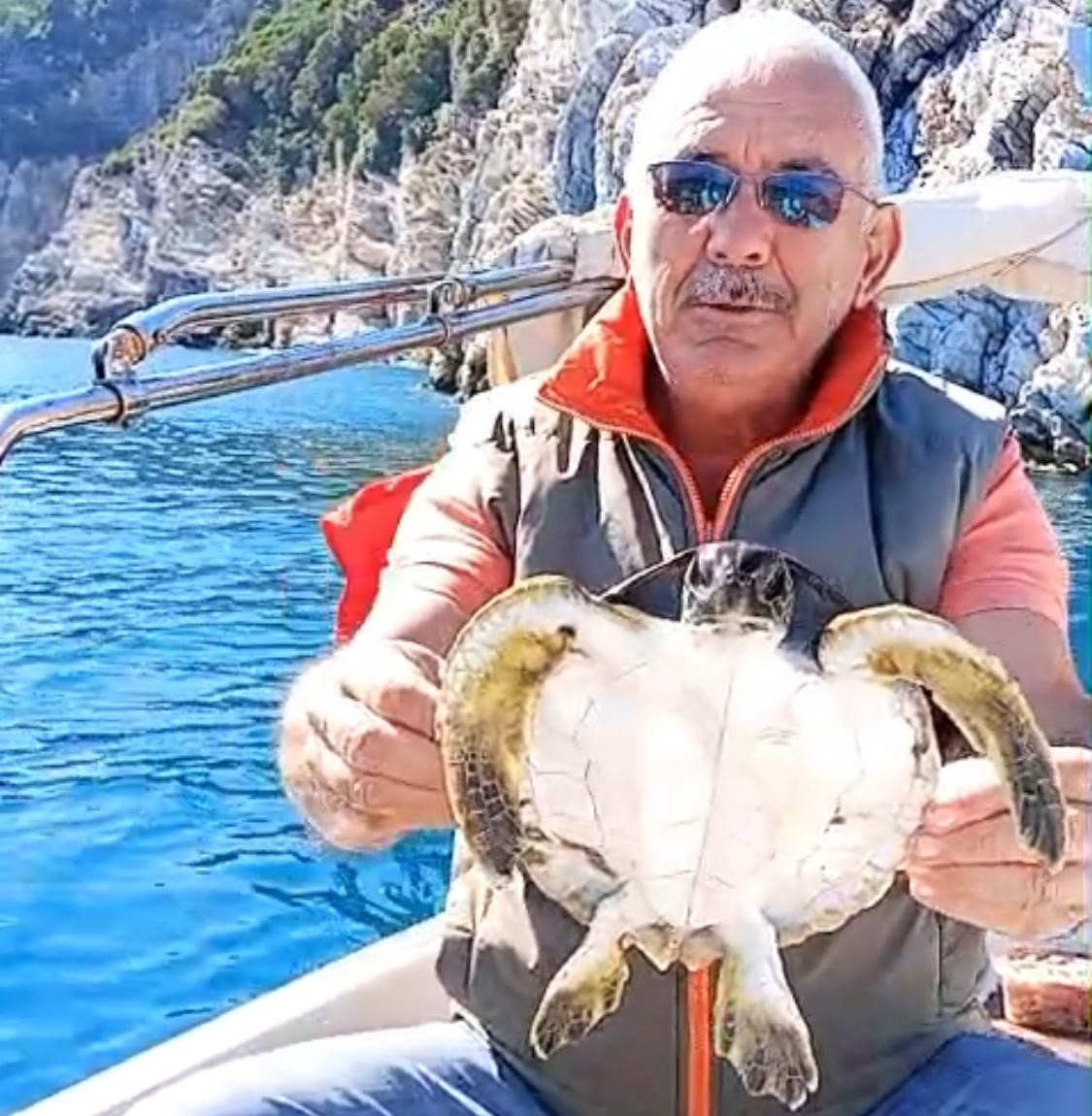 Marmaris K&ouml;rfezi&rsquo;nde &ccedil;uvala dolanan deniz kaplumbağasını &ccedil;evreciler kurtardı
