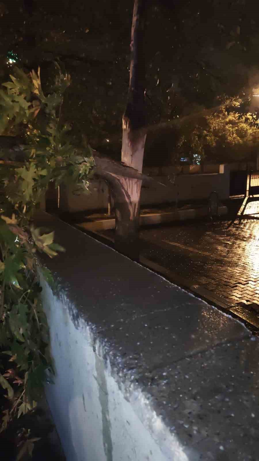 Rüzgarın kökünden söktüğü ağaç otomobilin üzerine devrildi