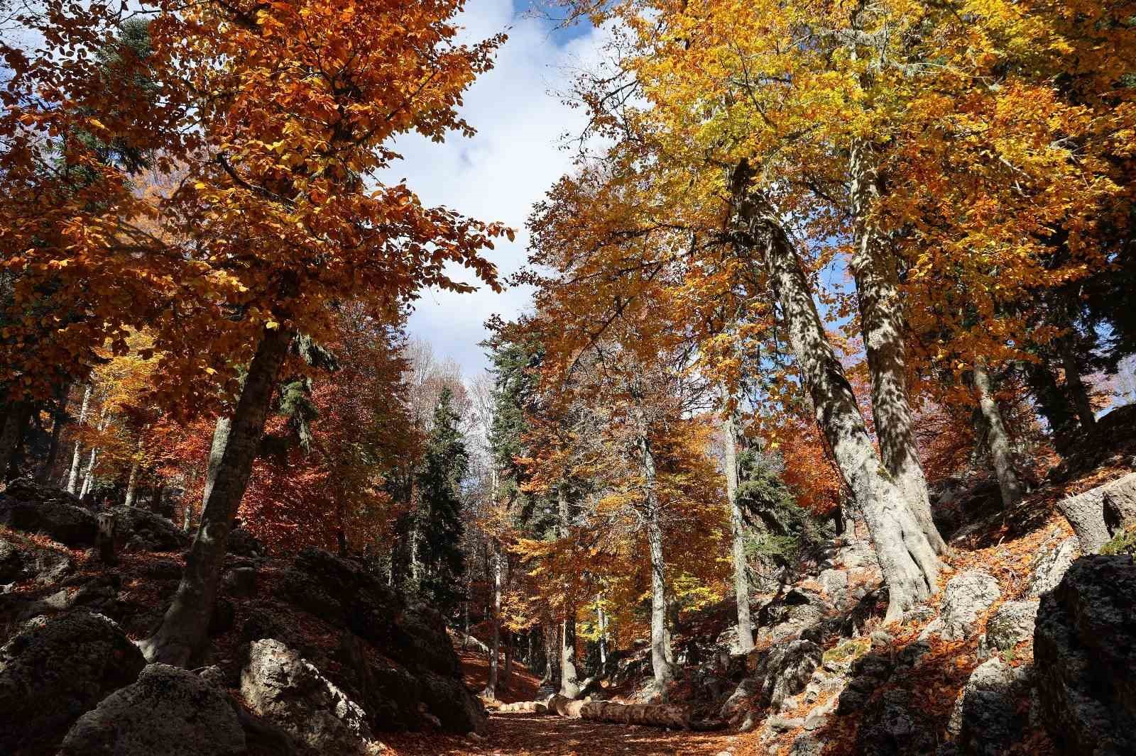 Adana’da sonbahar güzelliği: Adeta doğa sanata dönüştü