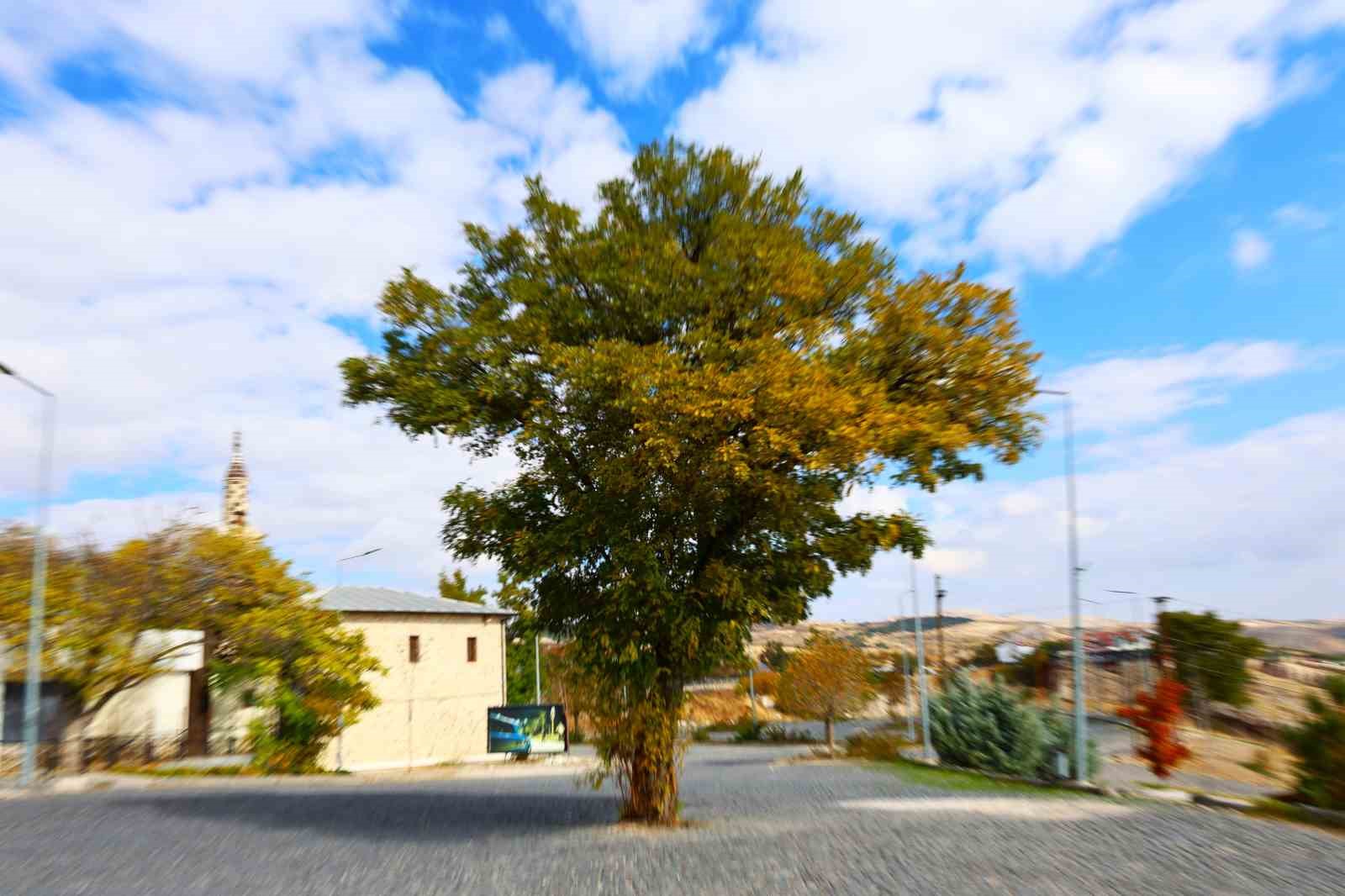 Elazığ&rsquo;da 4 bin yıllık mahalle sonbaharda g&ouml;renleri mest ediyor
