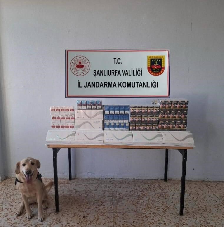Şanlıurfa’da kaçakçılara operasyon