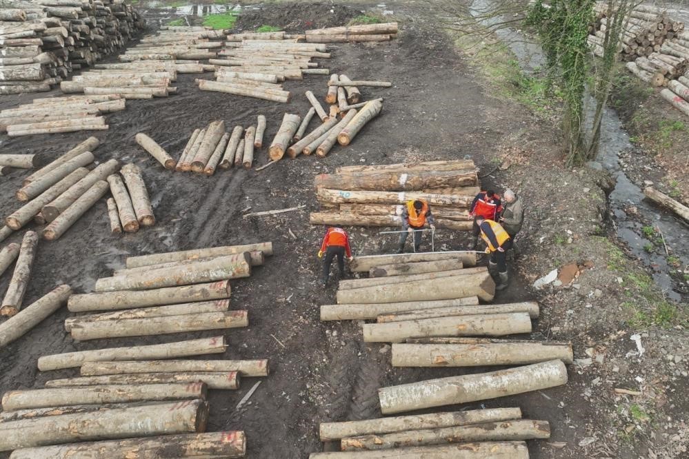 Düzce’den 11 bin 596,5 ton orman ürünü ihraç edildi