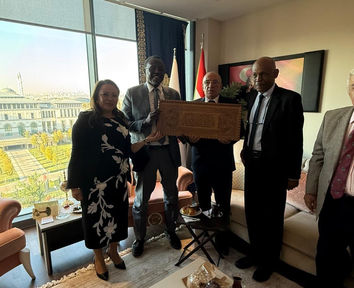 T&uuml;rkiye-Sudan sağlık diplomasisinde yeni d&ouml;nem
