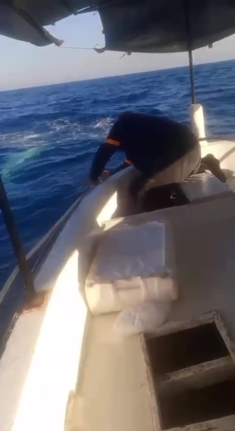 Akdeniz&rsquo;de teknenin &ccedil;apa halatına dolanan devasa b&uuml;y&uuml;kl&uuml;kteki k&ouml;pekbalığı balık&ccedil;ılara korku dolu anlar yaşattı
