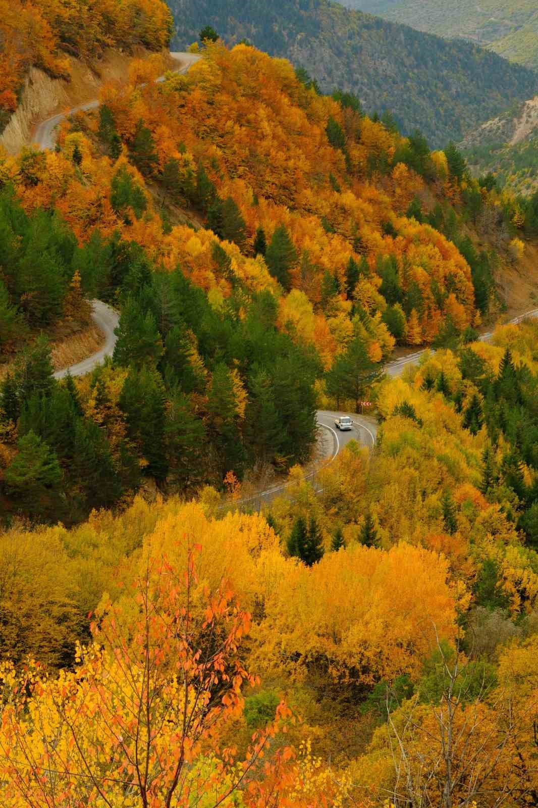 Zigana’nın tünelini değil, manzarasını seçtiler