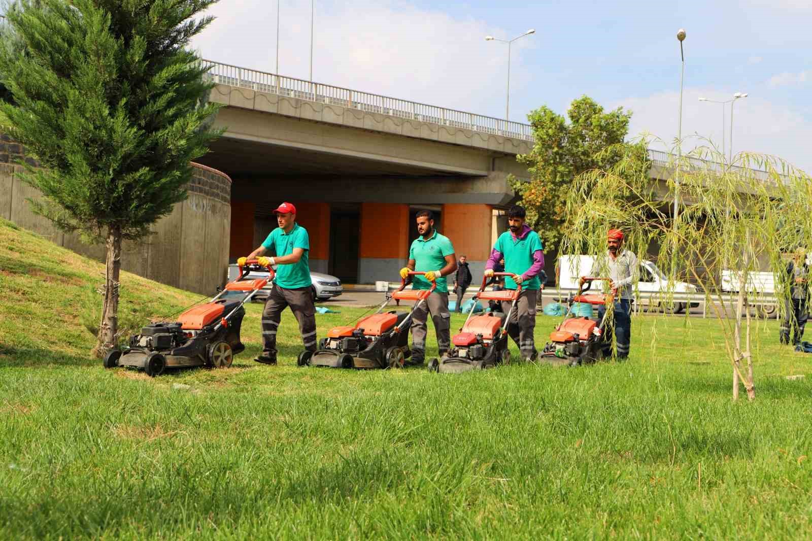 Kent genelinde ağa&ccedil; budama &ccedil;alışmaları başladı
