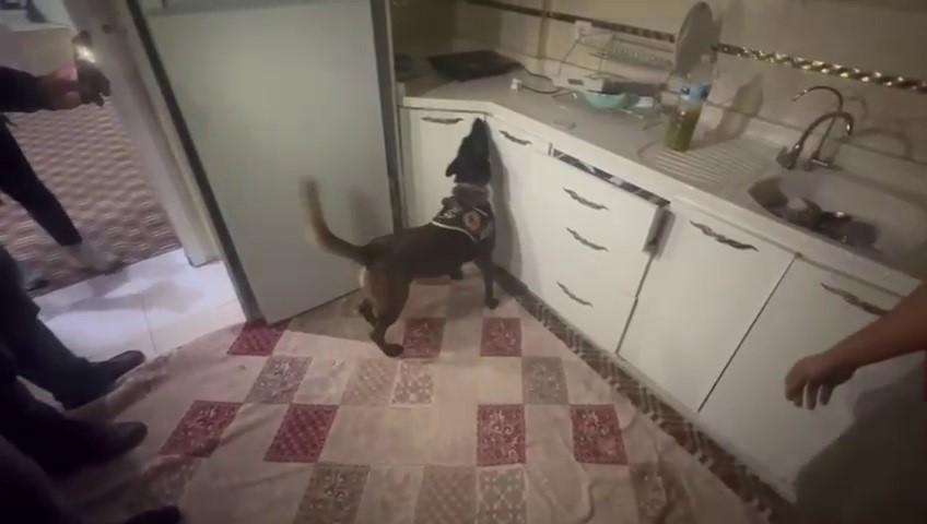 Kasaya zulalanan 10 kiloluk uyuşturucuyu narkotik köpeği ’Alis’ buldu