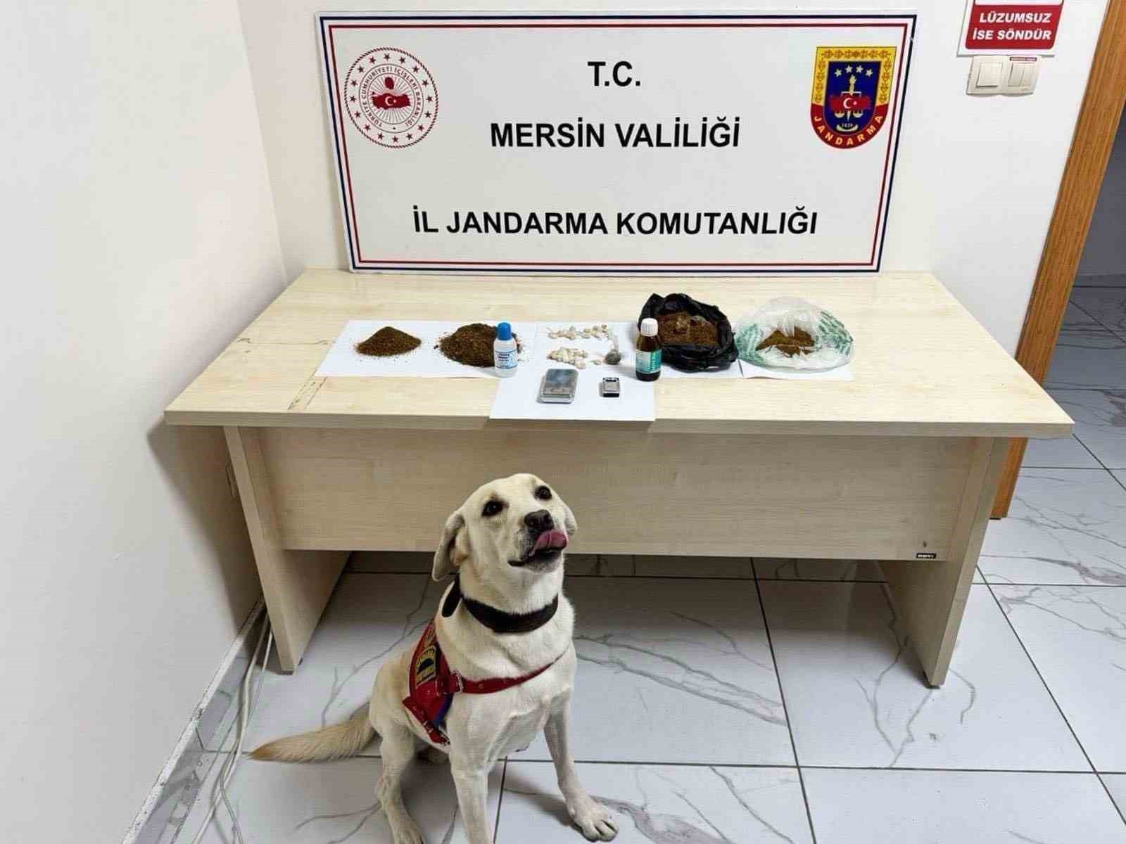 Mersin’de uyuşturucu operasyonu: 5 şüpheli tutuklandı