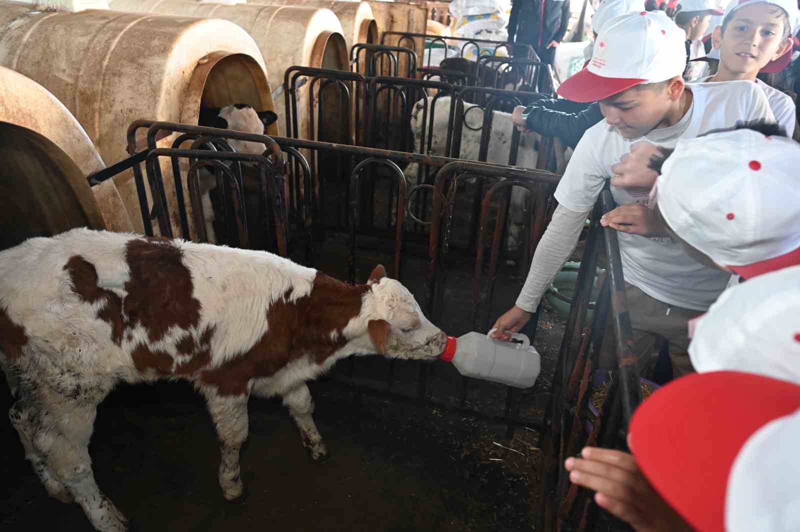 Lider Çocuk Tarım Kampı, "Kooperatifçilik" temasıyla Acıpayam’da gerçekleştirildi
