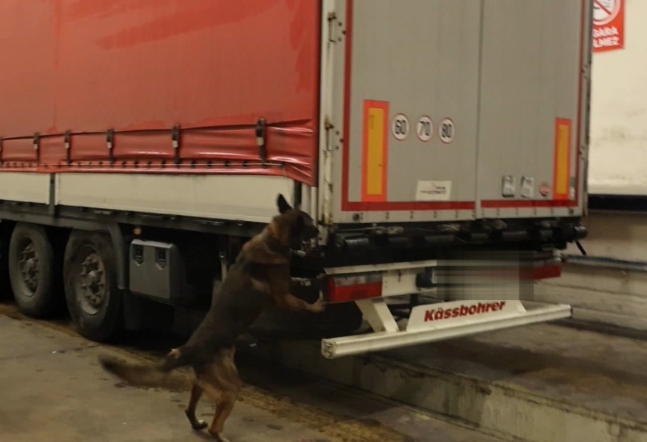 319 milyon TL değerindeki 525 kilo uyuşturucu Kapıkule&rsquo;de sergilendi
