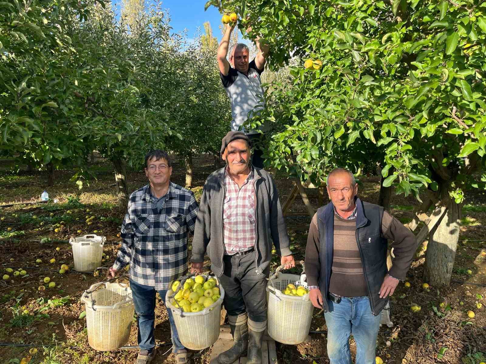 Buldan&rsquo;da elma hasadı y&uuml;z g&uuml;ld&uuml;r&uuml;yor
