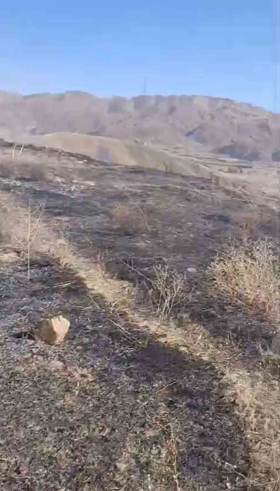 Yüksekova’da anız yangını kontrol altına alındı