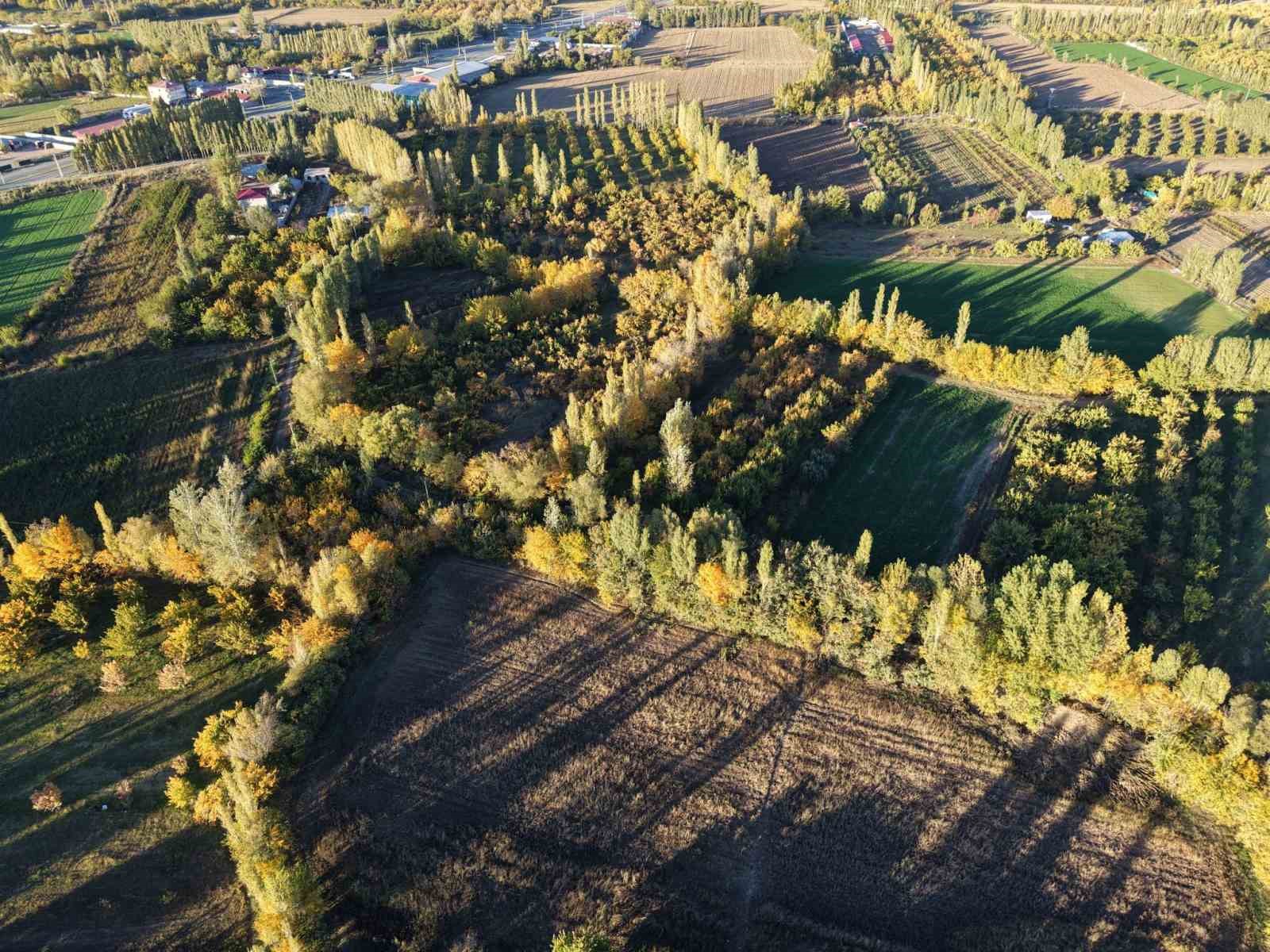 Iğdır’ın renk cümbüşüne dönüşen doğal cenneti İrem Bağları, havadan görüntülendi