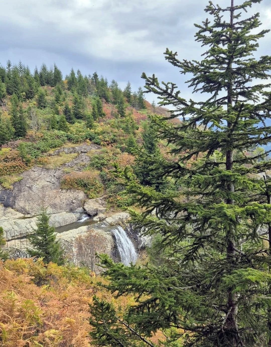 Sis Dağı Yaylası’nda sonbaharda renk cümbüşü