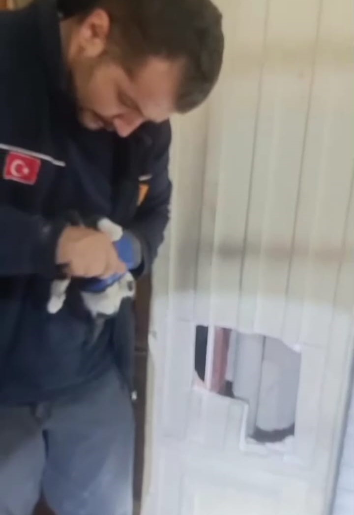 Kolon boşluğuna düşen 2 yavru kedi, itfaiye ekipleri tarafından kurtarıldı
