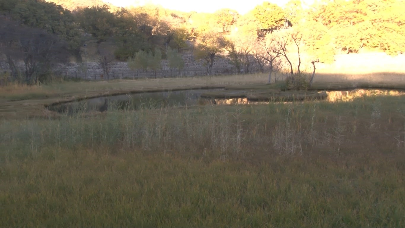 Yüzen Adalar’da sonbahar güzelliği