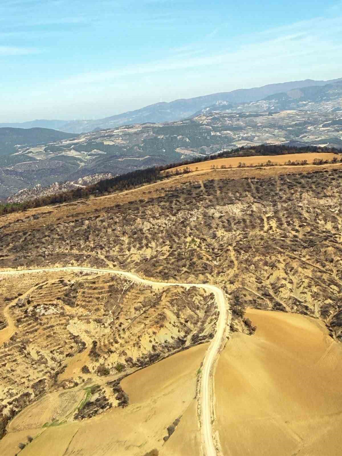 Bilecik&rsquo;te yanan ormanlar yeniden hayat buluyor
