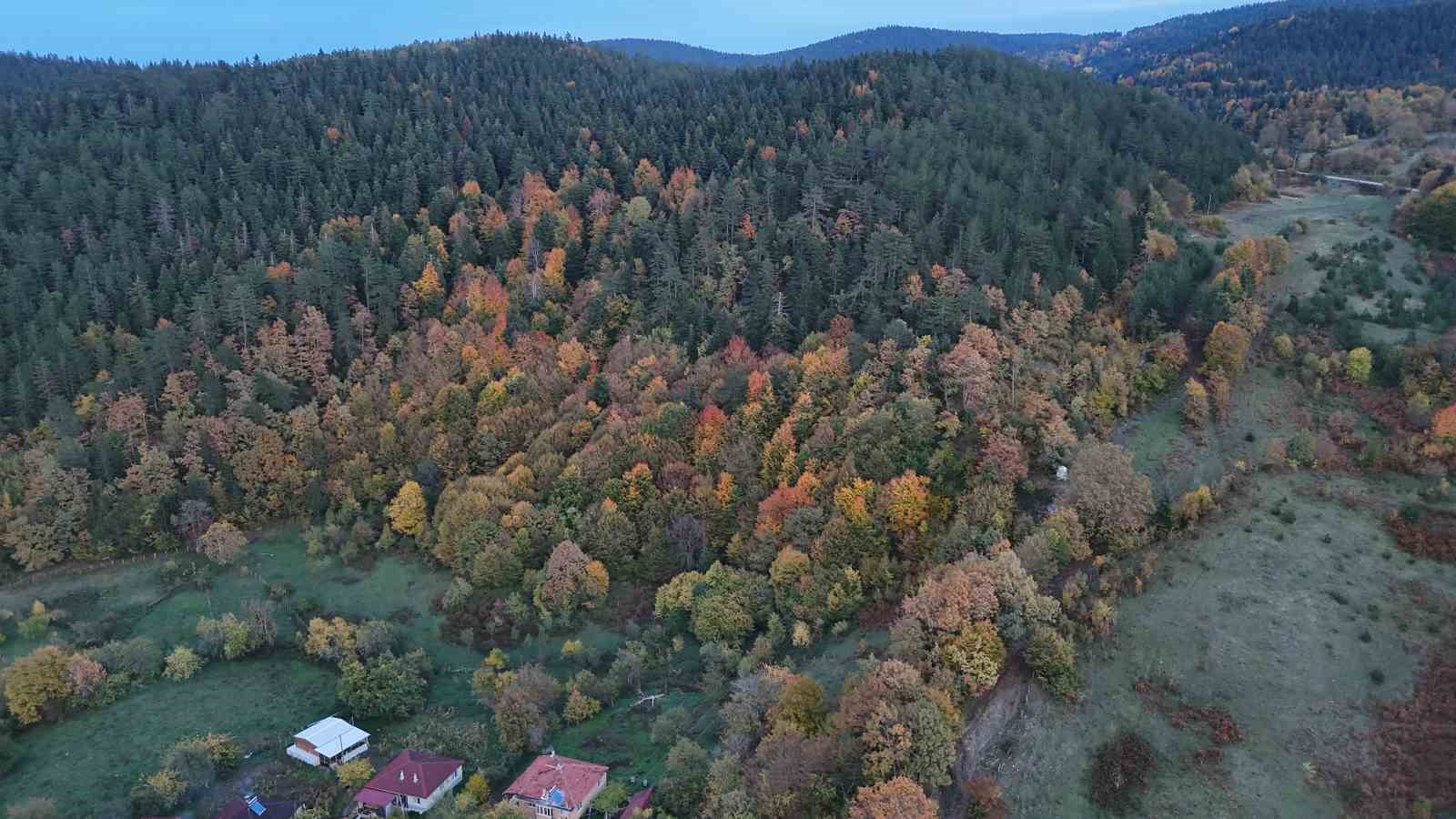Sinop’ta sonbaharda renk cümbüşü yaşanıyor
