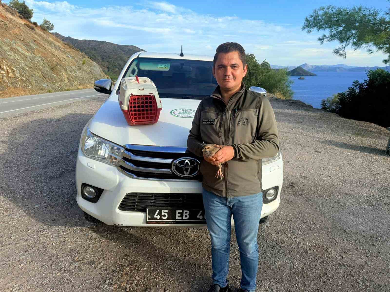 Yasadışı Kınalı Keklik satışına 28 bin TL ceza