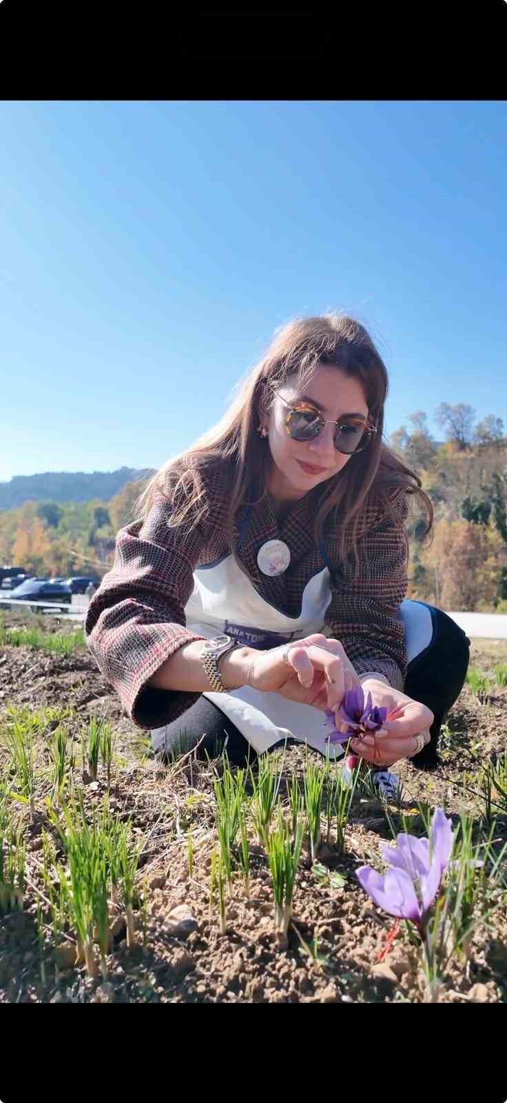"Anadolu&rsquo;dakiler" projesinin ilk "İmeci Ağı" d&uuml;nyanın en pahalı baharatı safran oldu
