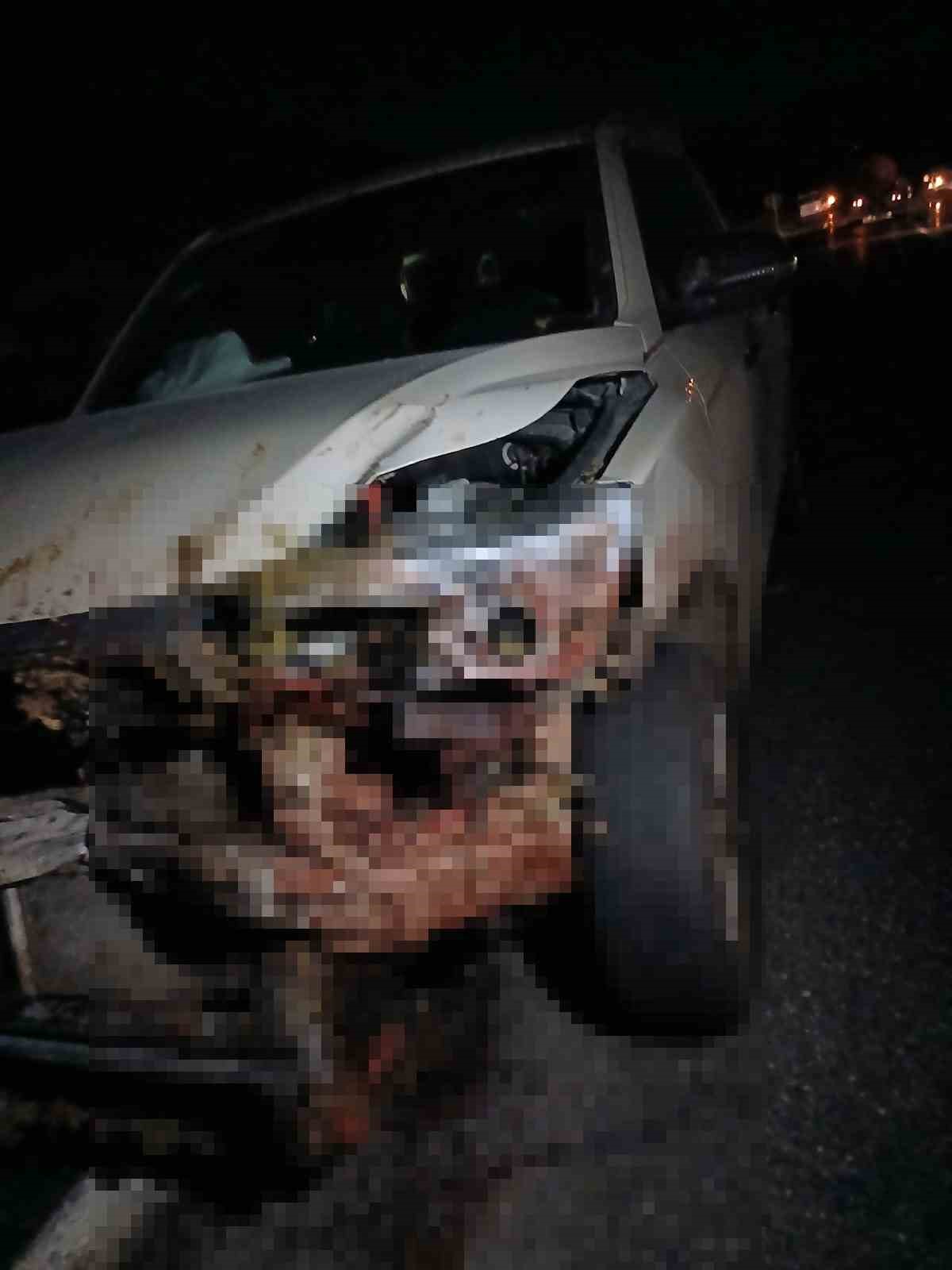 Elazığ’da kamyonet sürüye çarptı: 30 küçükbaş hayvan telef oldu