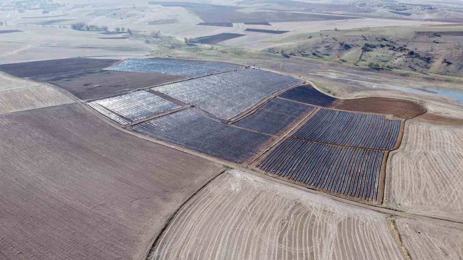 400 dönümlük çilek projesi bölge ekonomisine can verecek