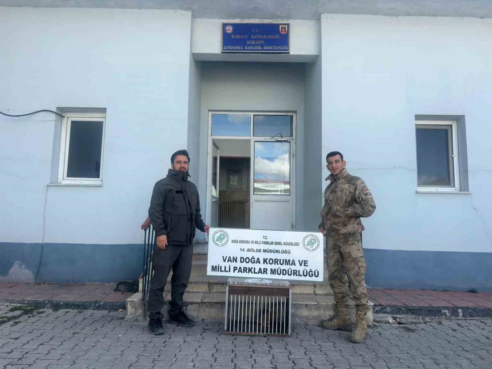 Van’da kafes avcısına 29 bin 140 lira  caza