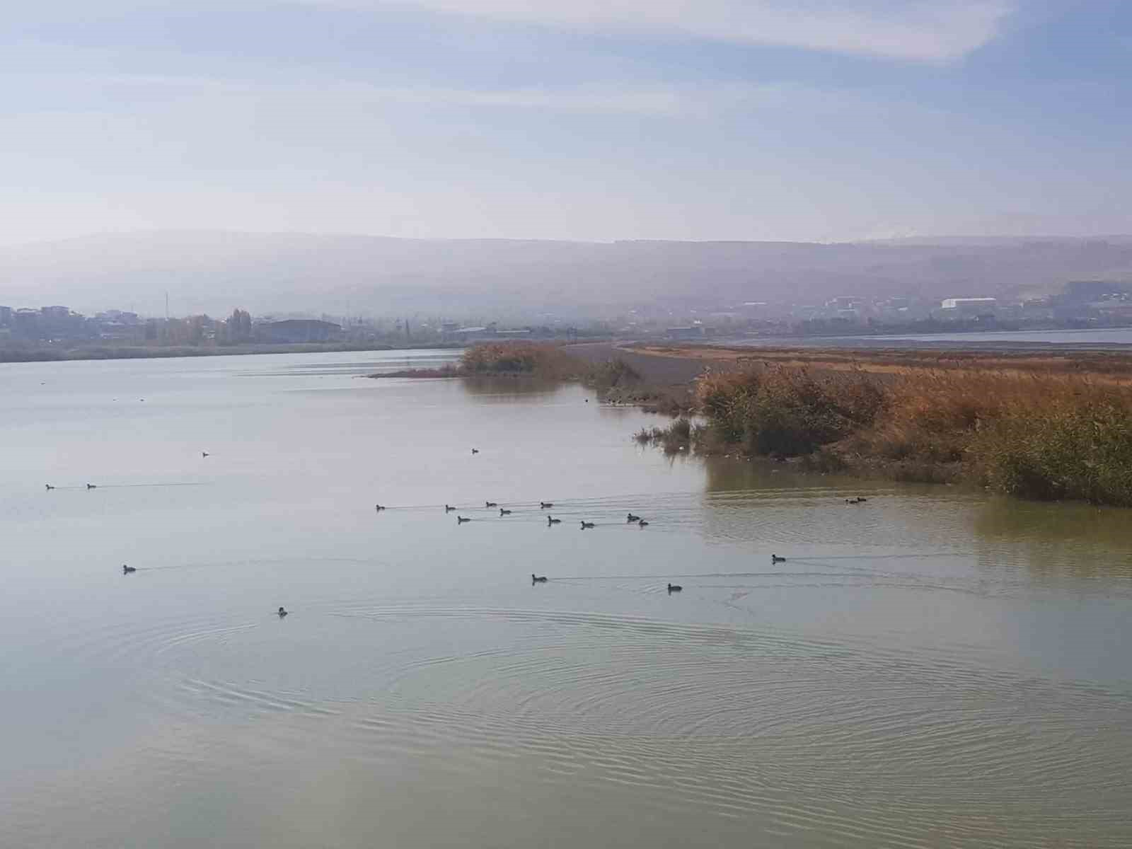 Van&rsquo;da kafes avcısına 29 bin 140 lira  caza
