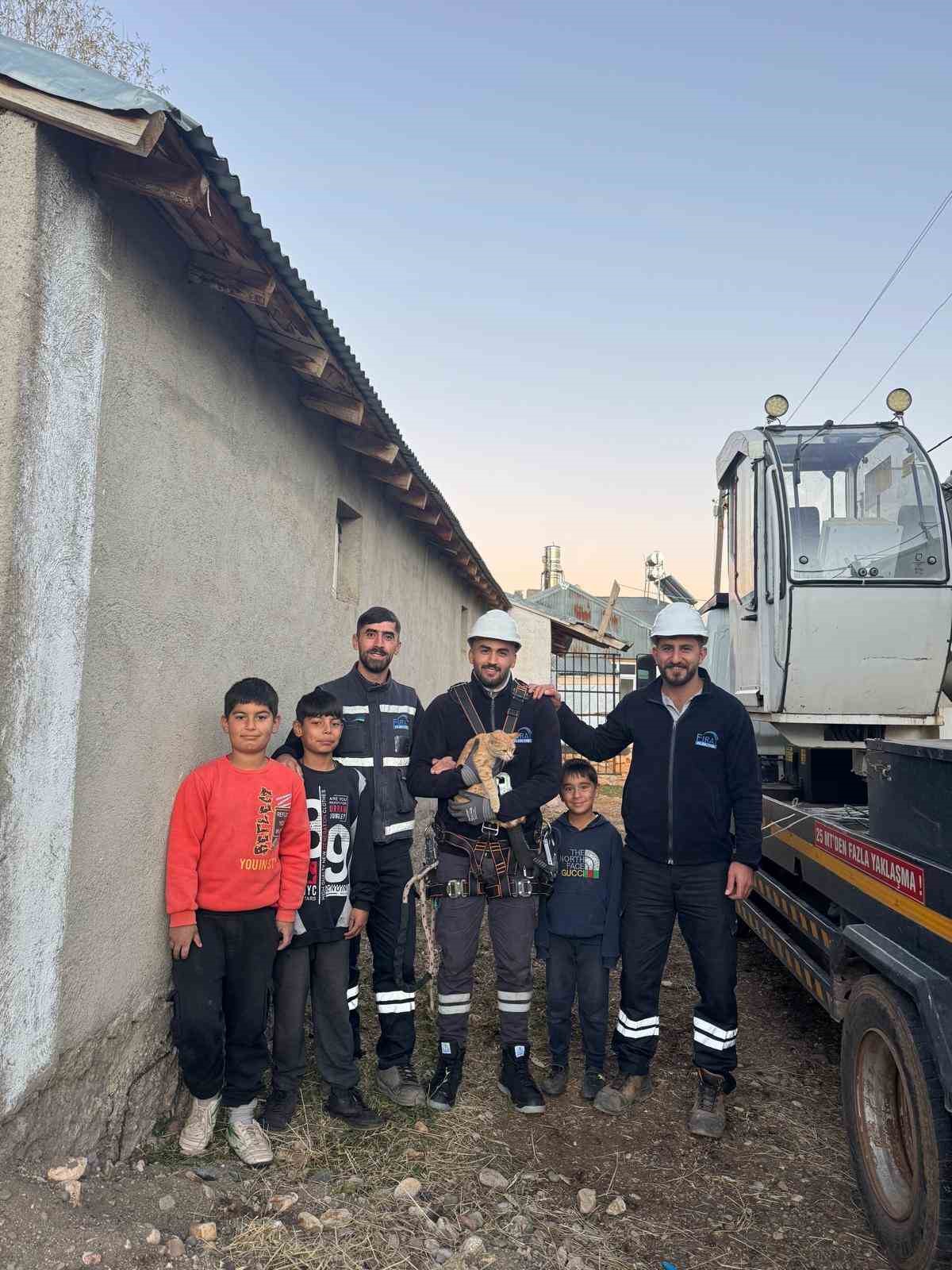 Elektrik direğinde mahsur kalan kediyi ekipler kurtardı