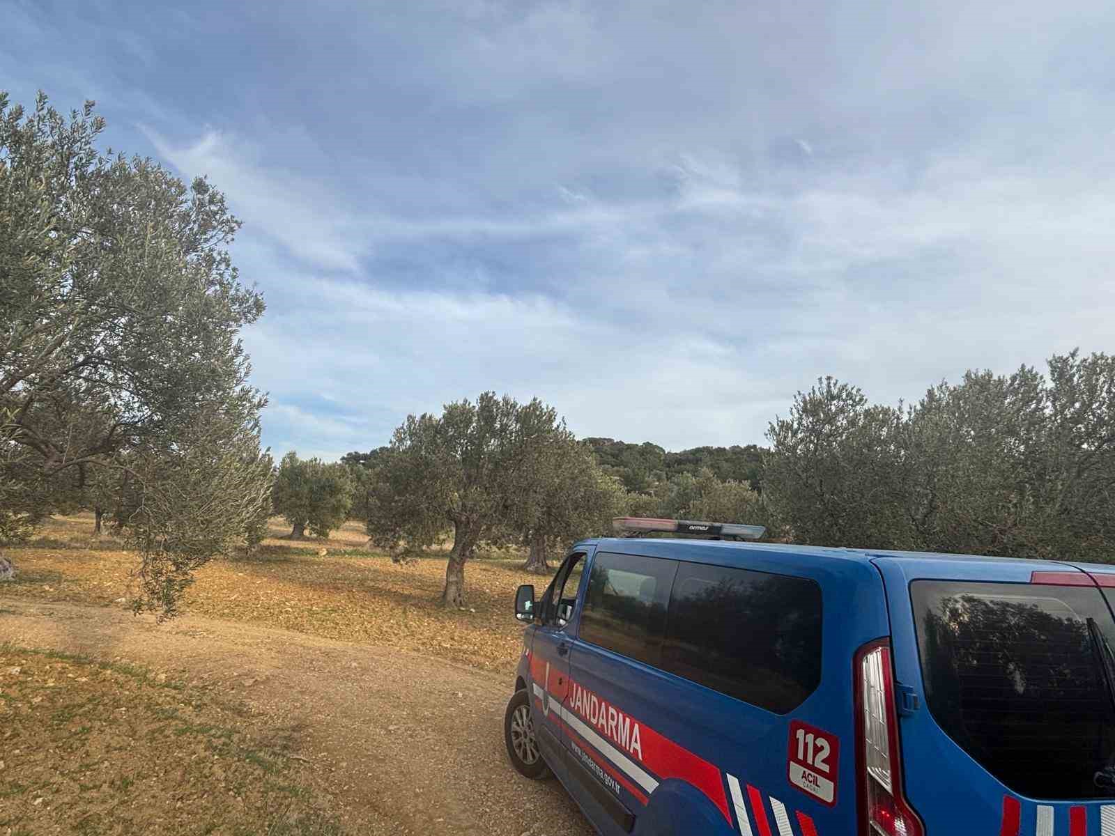 Aliağa’da zeytin hasadı başladı, güvenlik önlemleri artırıldı