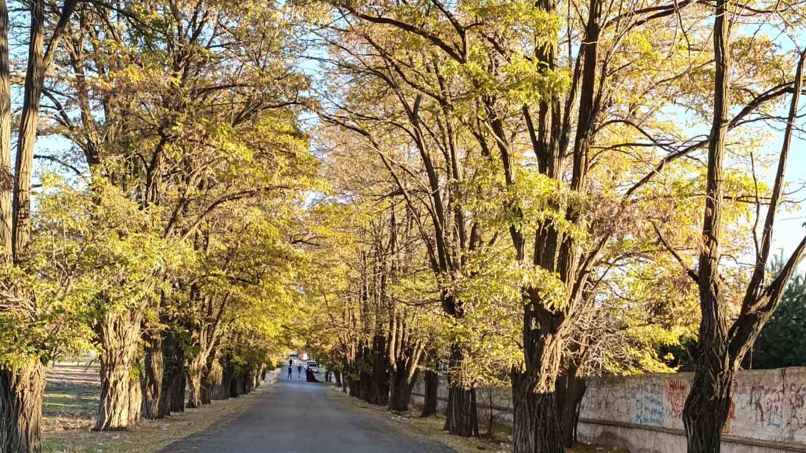 Van&rsquo;da sonbahar renk c&uuml;mb&uuml;ş&uuml;
