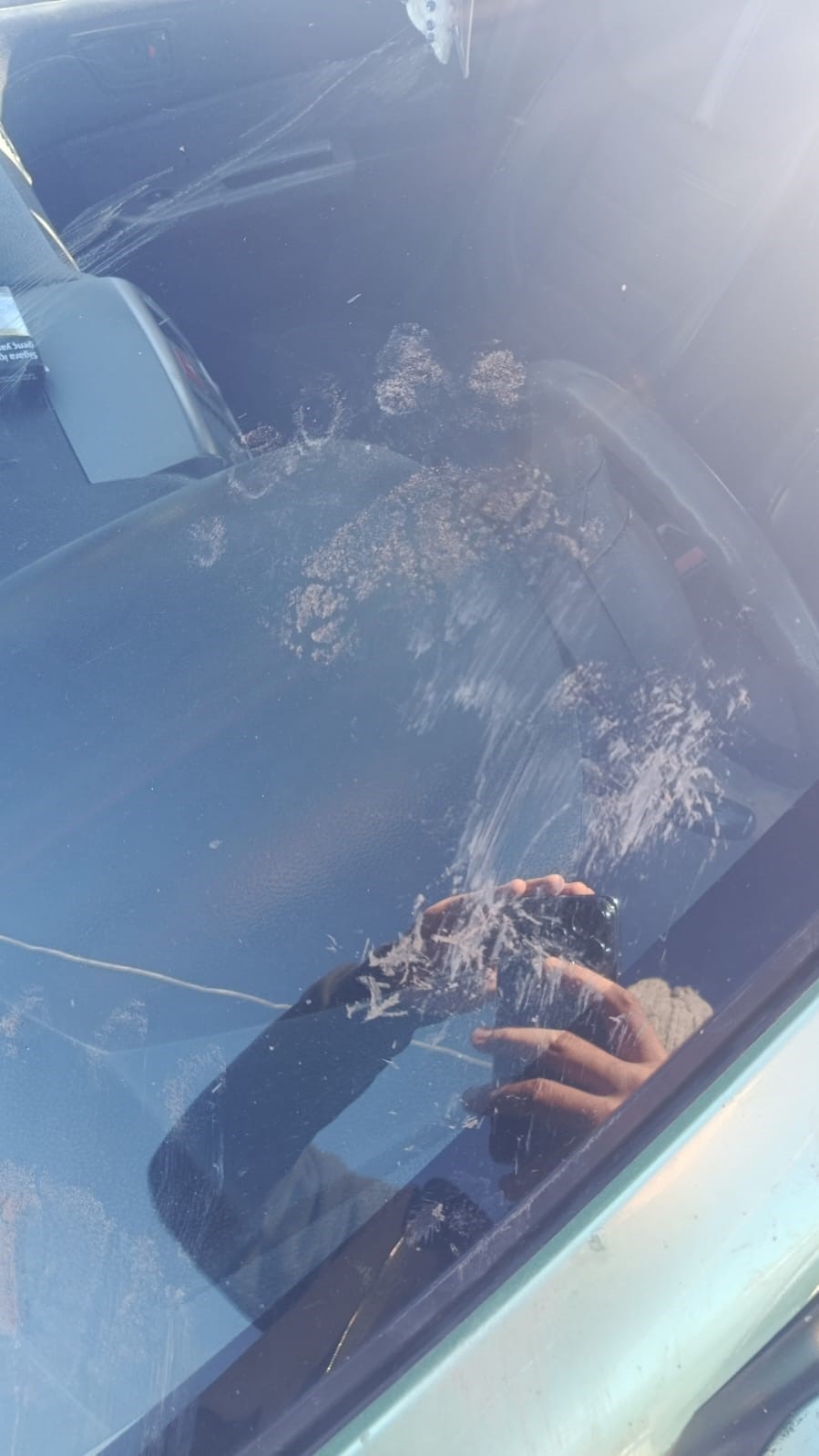 Gümüşhane’de ayı park halindeki araca saldırdı