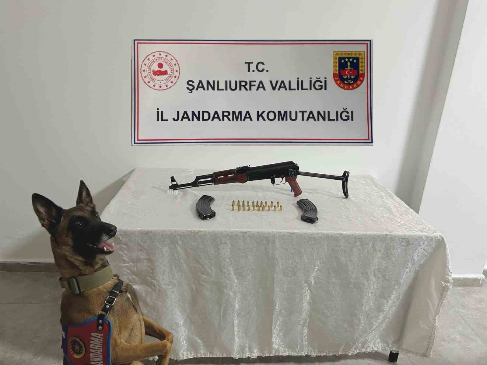 Şanlıurfa’da ruhsatsız silah operasyonu