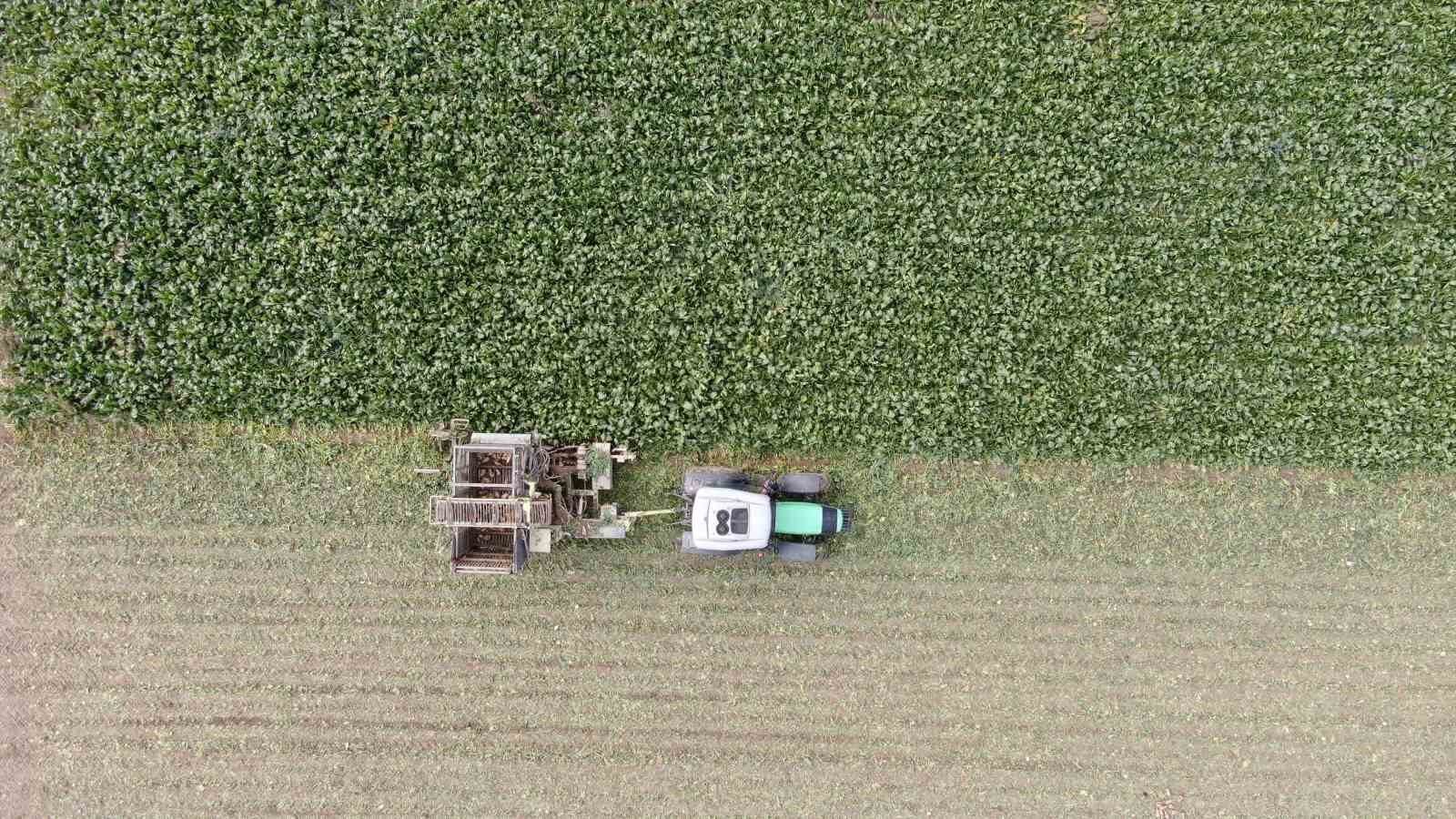 Kastamonu’da çiftçilerin zorlu pancar mesaisi devam ediyor