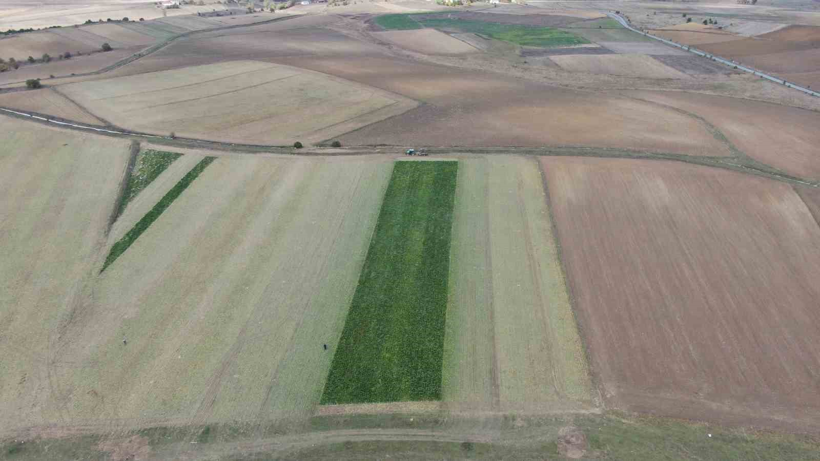 Kastamonu&rsquo;da &ccedil;ift&ccedil;ilerin zorlu pancar mesaisi devam ediyor
