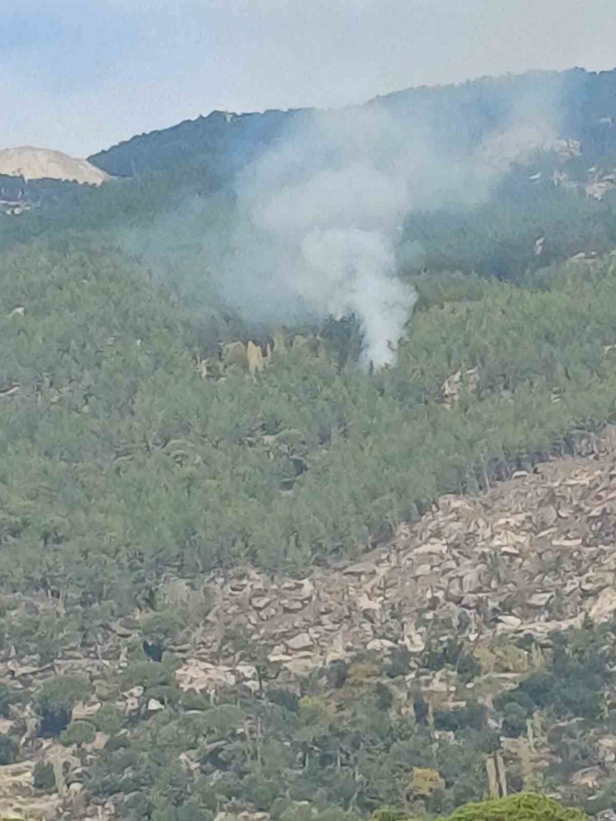 Kavaklıdere’deki orman yangını kontrol altına alındı