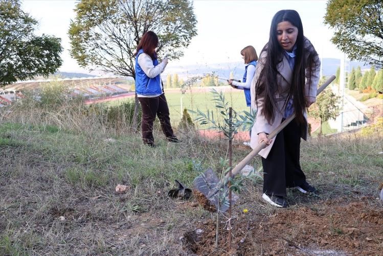 BŞE&Uuml;&rsquo;de zeytin fidanları toprakla buluştu

