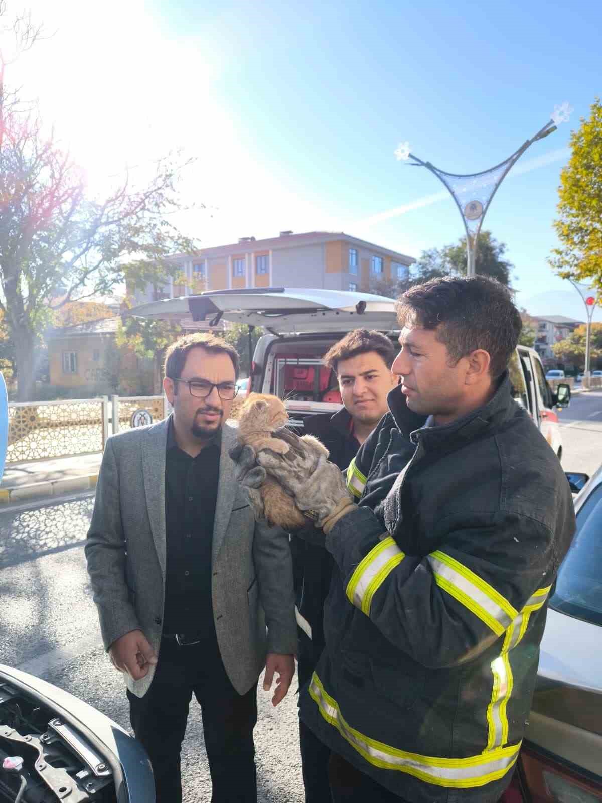 Otomobilin motor kısmına sıkışan yavru kedi itfaiye ekiplerince kurtarıldı