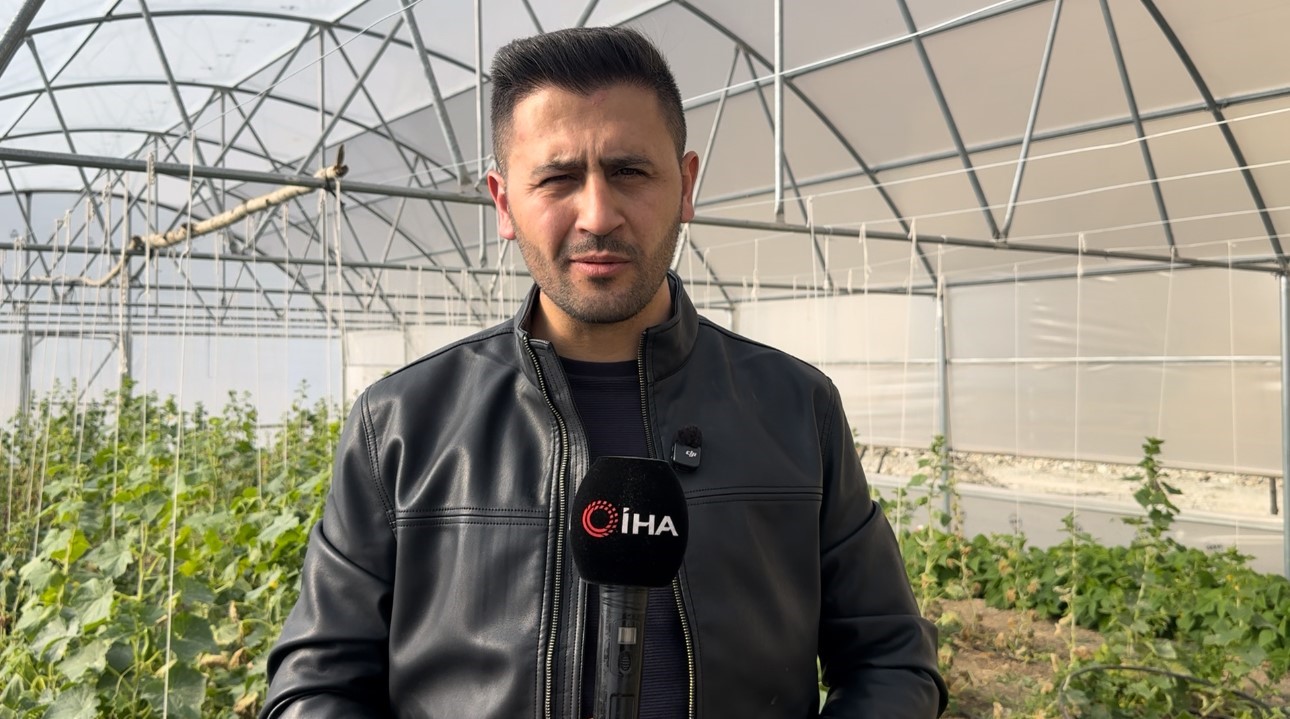 "Köye Dönüş" projesi çerçevesinde kurulan seralar sayesinde, boşaltılan köyler yeniden hayat buldu