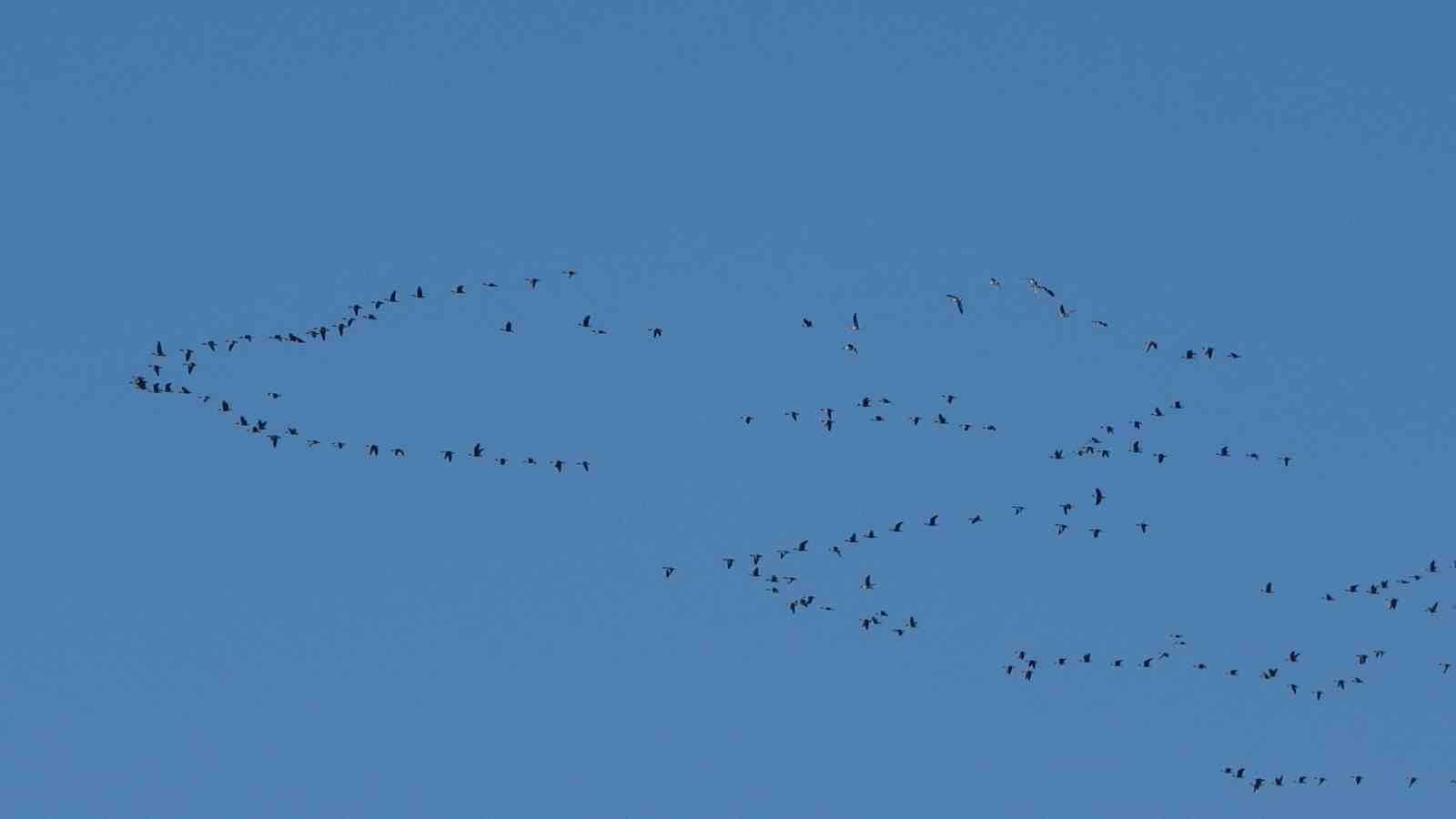 Zorlu göçün durağı Erçek Gölü