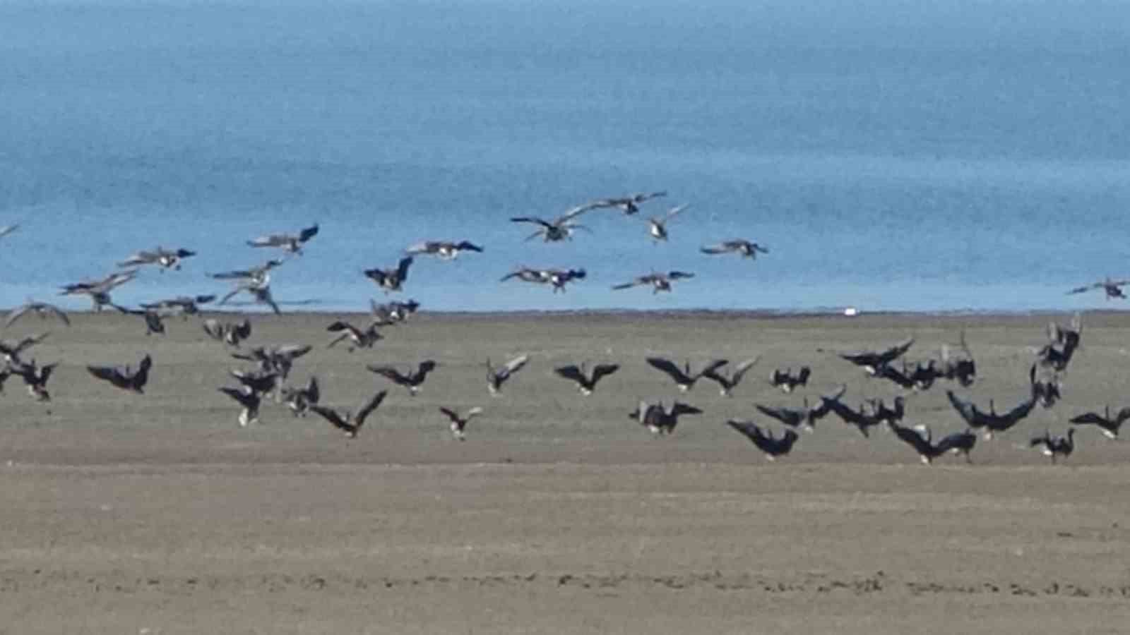 Zorlu g&ouml;&ccedil;&uuml;n durağı Er&ccedil;ek G&ouml;l&uuml;
