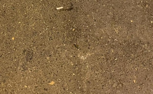 Kız arkadaş kavgasında kurusıkı ile rastgele ateş etti
