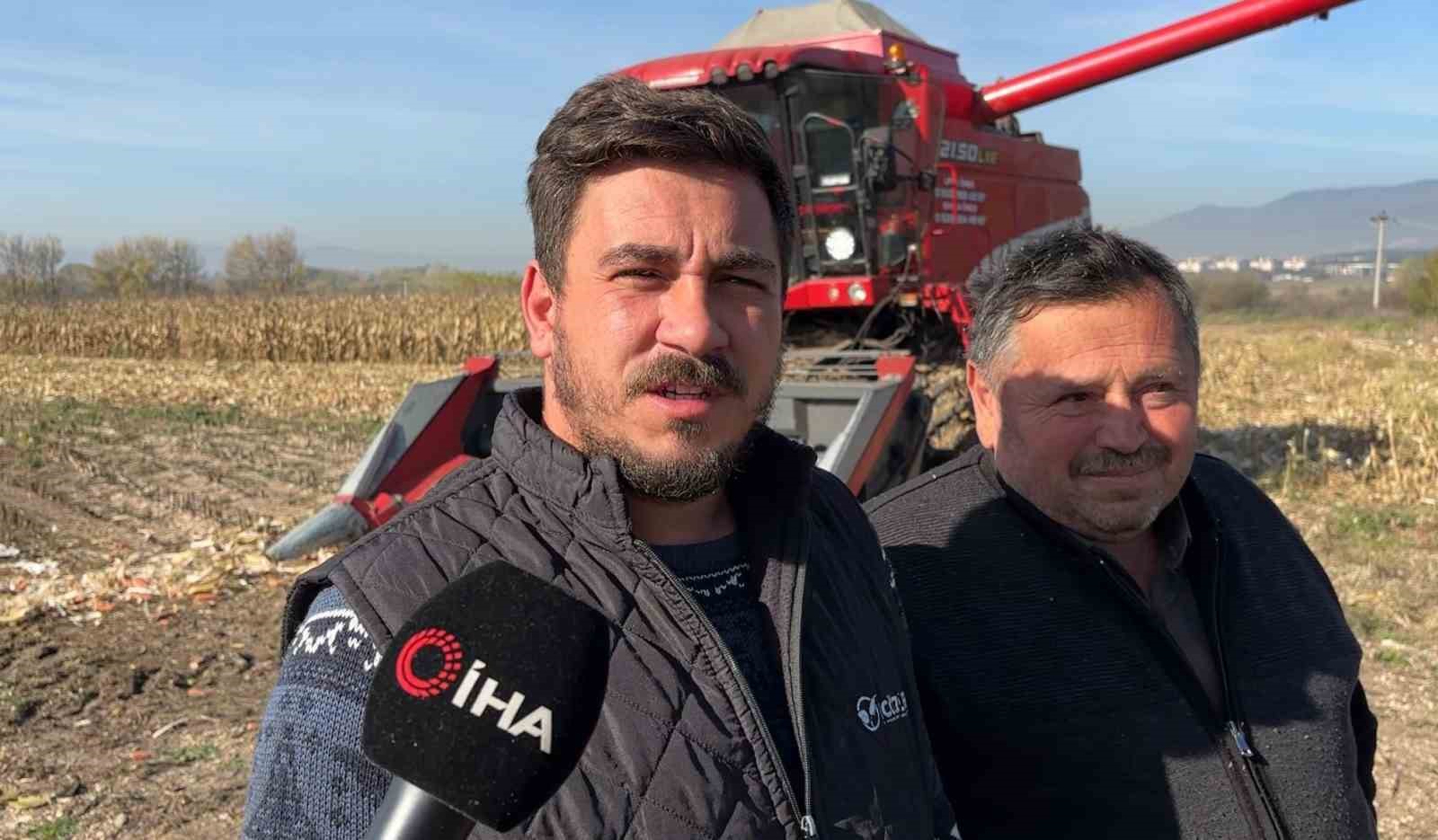 Bolu&rsquo;da dane mısır hasadı başladı
