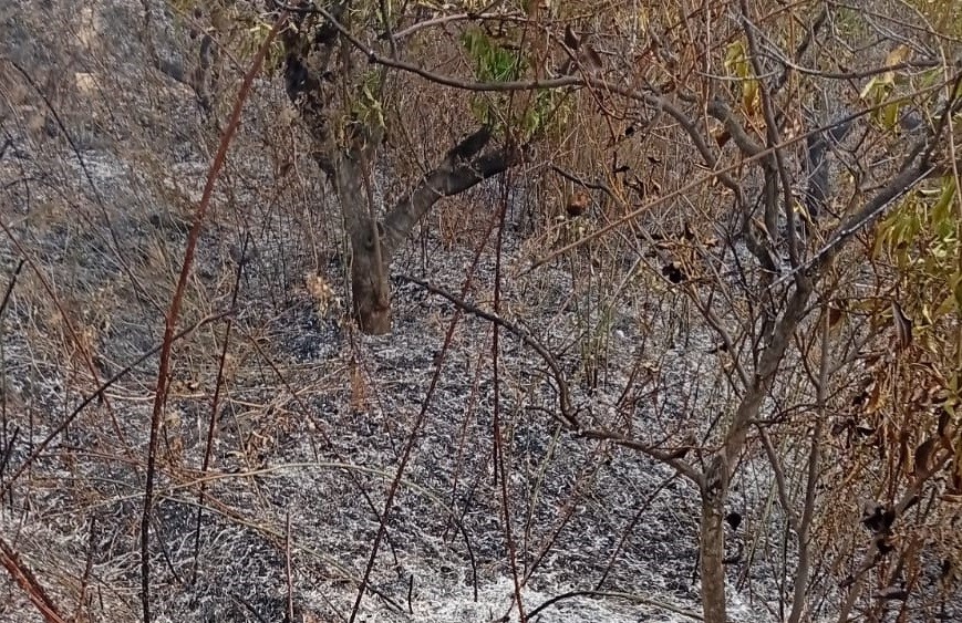 Yaşlı adam, bahçesini temizlerken yangında hayatını kaybetti