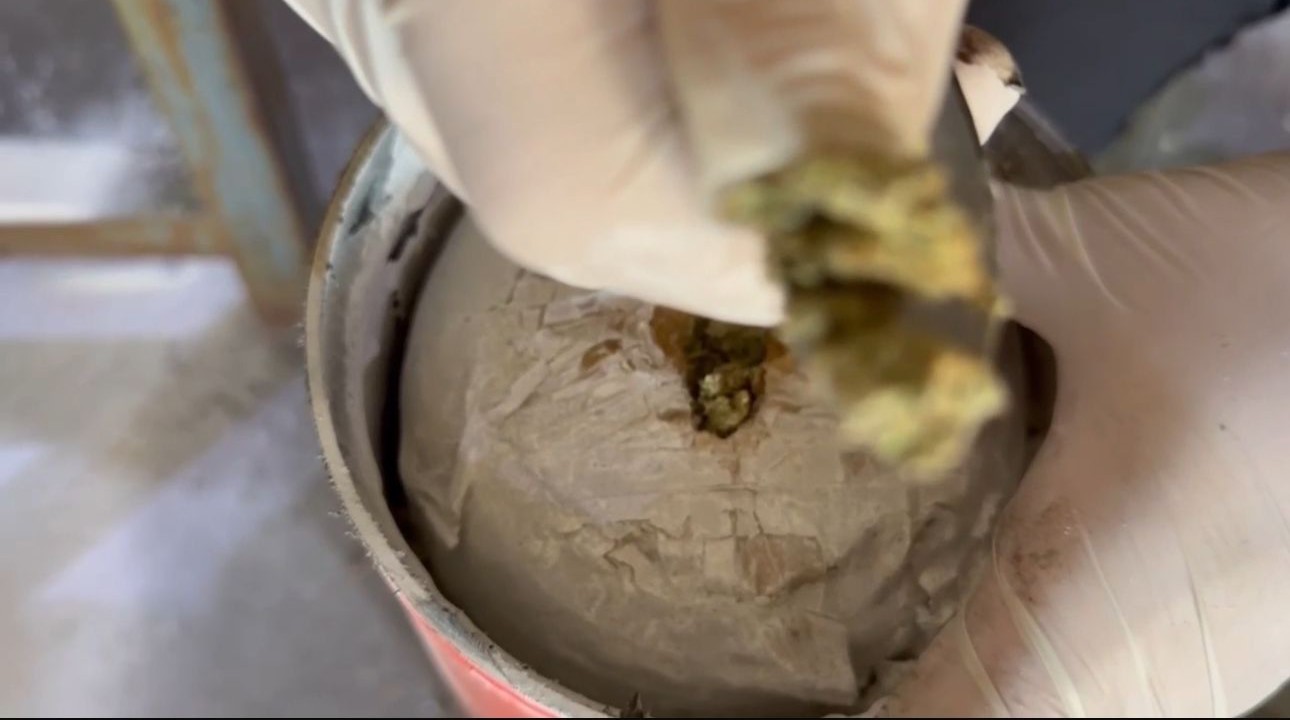 Otob&uuml;s bagajında skunk d&uuml;zeneği: 8 kilo zehir ele ge&ccedil;irildi
