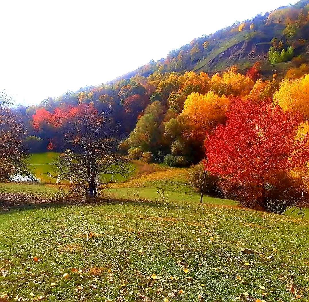 Posof’ta sonbaharla gelen güzellikler